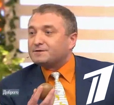 Большая иллюстрация к новости «Андрей Бобровский на Первом канале: картофель не вредит фигуре!»