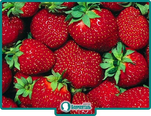 Диетическая карточка «Диетический клубничный торт» участников 3-го сезона специального проекта «Я худею!» телеканала НТВ Диетическая карточка «Диетический клубничный торт» участников 3-го сезона специального проекта «Я худею!» телеканала НТВ